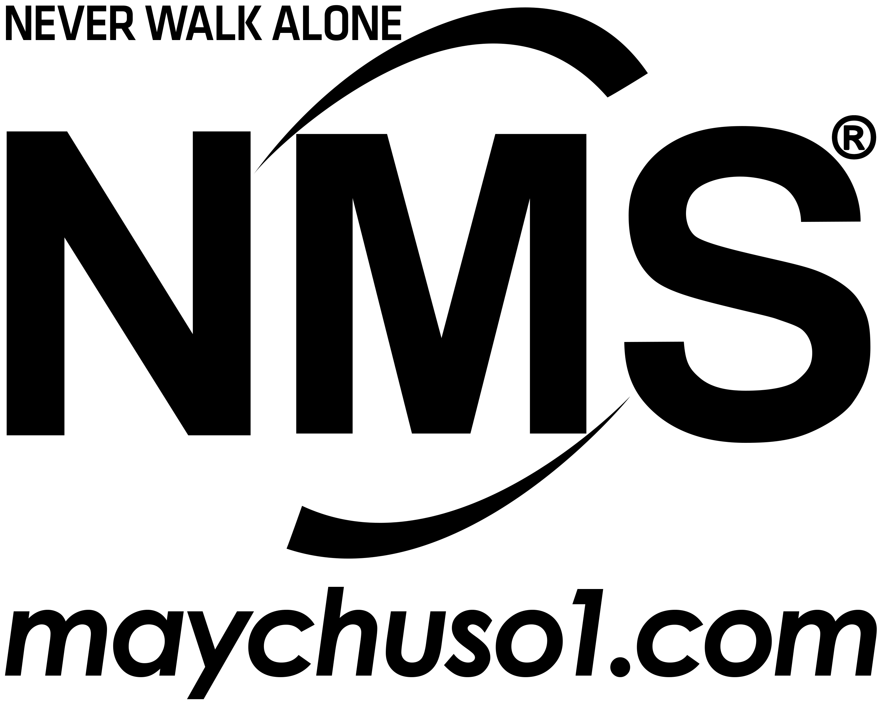 Logo Máy chủ số 1 (NMS)